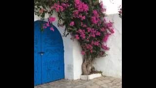 Sidi Bou Said Tunis  سيدي بوسعيد تونس [upl. by Felic600]