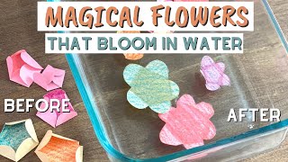 Magic Blooming Paper Flowers  Fun STEM Activity For Kids [upl. by Oakie]