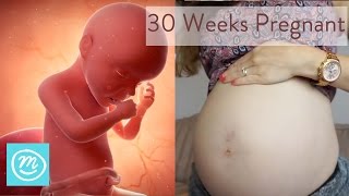 30 Weeks Pregnant What You Need To Know  Channel Mum [upl. by Tiga246]