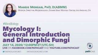 Mycology I General Introduction and Dimorphic Fungi  Dr Morgan Cedars Sinai MICROBIOLOGY [upl. by Ertha]