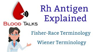 Rh antigen explained [upl. by Attesor546]