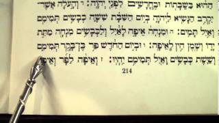 Haftorah Haftarah Parsha Hachodesh Rabbi Weisblum קריאת הפטרה שבת החודש [upl. by Attenohs354]