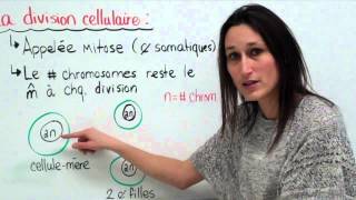 18 Sciences 9e Le cycle cellulaire [upl. by Anirbac738]