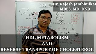 12 HDL Metabolism and Reverse Transport of Cholesterol [upl. by Tlevesor751]