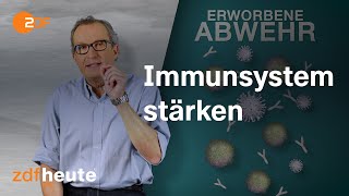 Wie funktioniert unser Immunsystem [upl. by Eilatan]