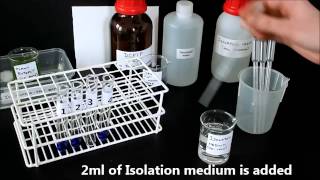 Photosynthesis in chloroplasts Hill Reaction [upl. by Millburn]