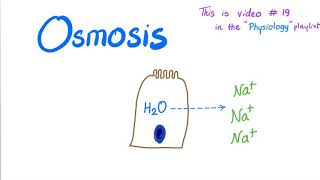 Osmosis  Physiology [upl. by Ylremik]