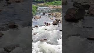 Kithulgala Water Rafting [upl. by Ybbed]