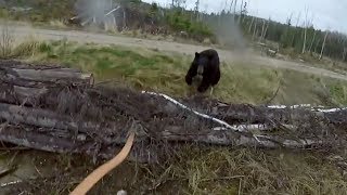 Black Bear Attacks Man [upl. by Seraphim]