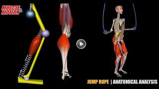 Jump Rope  Anatomical Analysis  Active Muscles [upl. by Camile413]