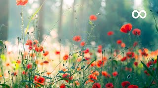 Morning Relaxing Music  Piano Music for Stress Relief and Studying Riley [upl. by Janessa]