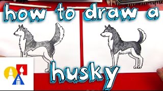 How To Draw A Husky [upl. by Glennon]