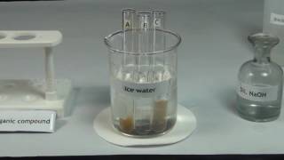 Tests for Amines  MeitY OLabs [upl. by Hoffer]