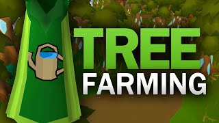 Complete Tree Farming Guide for OSRS [upl. by Eeryk]