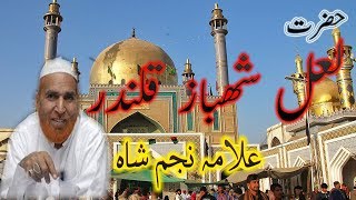 Najam Ali Shah Bayen  Lal Shahbaz Qalandar Full History  2018 New [upl. by Gregorio771]