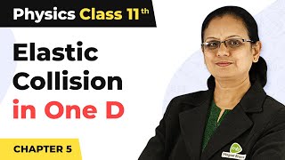 Elastic Collision in One Dimension  Work Energy and Power  Class 11 Physics [upl. by Ellekcim109]