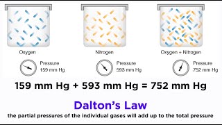 Daltons Law and Partial Pressures [upl. by Harlie]