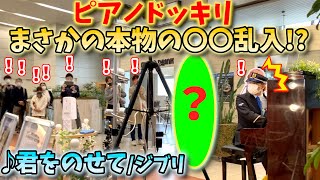 【ストリートピアノ】ピアノドッキリ！まさかの本物の○○乱入！？『君をのせて』ジブリ 天空の城ラピュタより 〔万博記念公園駅ストリートピアノ〕 [upl. by Herates]