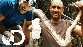 Las comidas de supervivencia más extremas  Ed Stafford al extremo  Discovery Latinoamérica [upl. by Aynatan]