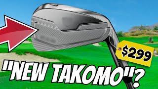 These NEW BUDGET Irons Are quotThe NEW TAKOMOsquot [upl. by Ellemaj209]