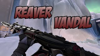 REAVER VANDAL SKIN GAMEPLAY BLACK  VALORANT REAVER SKINS [upl. by Ettennahs359]