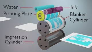 Offset Lithographic Printing [upl. by Fabe]