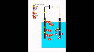 Electrolysis animation ZnBr2 [upl. by Clellan]