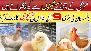 Biggest chicks Hatchery In Pakistan [upl. by Niltiak]