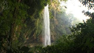 🐦 Waterfall Scenery in Tropical Rainforest with the Sound of Falling Water and Singing Jungle Birds [upl. by Ennovad]