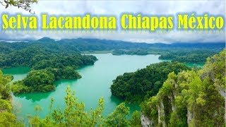 La Selva LACANDONA Chiapas Documental Mexicano 🌲 🍇 🌎 [upl. by Nnyletak]