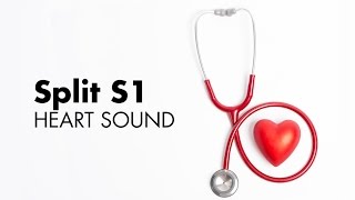 Split S1  Heart Sounds  MEDZCOOL [upl. by Annabel]