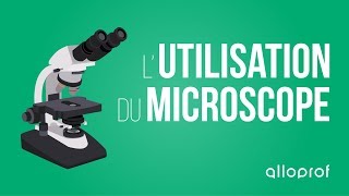 Lutilisation du microscope  Sciences  Alloprof [upl. by Platt]