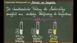 Halogenid Nachweis mit Silbernitrat [upl. by Kaenel]