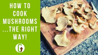 How To Cook Mushrooms The Right Way  GroCycle [upl. by Lissie]