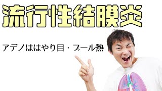 アデノウイルスによる流行性結膜炎（はやり目）と咽頭結膜炎（プール熱）：充血眼red eyePart8 [upl. by Hubie]