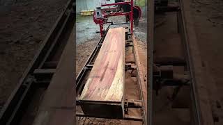 Milling madrone log [upl. by Htidirem]