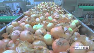 Finis onion processing and peeling [upl. by Attenaej]