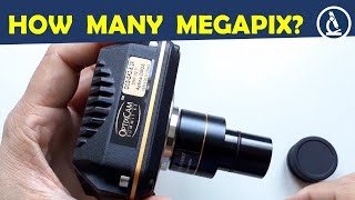 🔬 How many megapixels does a microscope camera need [upl. by Primaveria832]