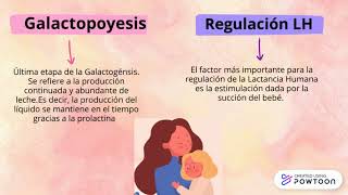 Fisiología de la Lactancia Humana [upl. by Peti]