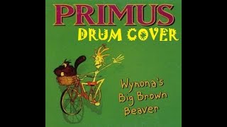 WYNONAS BIG BROWN BEAVER  PRIMUS drum cover [upl. by Elden]