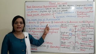 Class 23  Introduction to Plant Hormones and its Application  Types amp Functions of Plant Hormone [upl. by Eves]