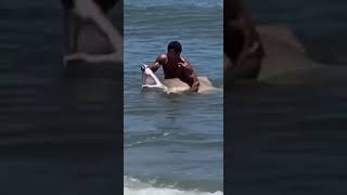 RAW VIDEO Swimmer captures shark off Delaware coast [upl. by Chrissy]