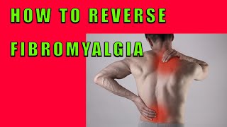 How to Reverse Fibromyalgia [upl. by Ynnus]