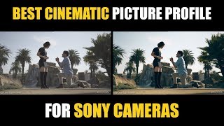 Best Picture Profile Settings for Cinematic Video on Sony Cameras  a7iii a6400 a6600 [upl. by Fredelia]