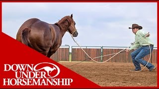 Clinton Anderson How to get a Horse to Move Out Better on the Ground  Downunder Horsemanship [upl. by Irrej435]