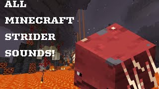 Minecraft 116 All Strider Sounds [upl. by Nahtnaoj]