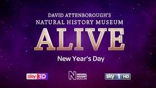 Natural History Museum Alive with David Attenborough Official trailer [upl. by Nolie958]