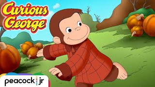 Georges Spooky Halloween  CURIOUS GEORGE [upl. by Dranek]