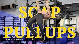 Scap Scapula Pull Ups  Tutorial [upl. by Allac9]