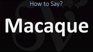 How to Pronounce Macaque CORRECTLY [upl. by Durand]